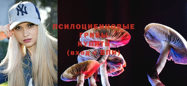 PSILOCYBIN Новодвинск