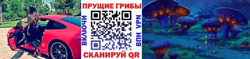 купить наркоту  Арамиль  Галлюциногенные грибы MAGIC MUSHROOMS 